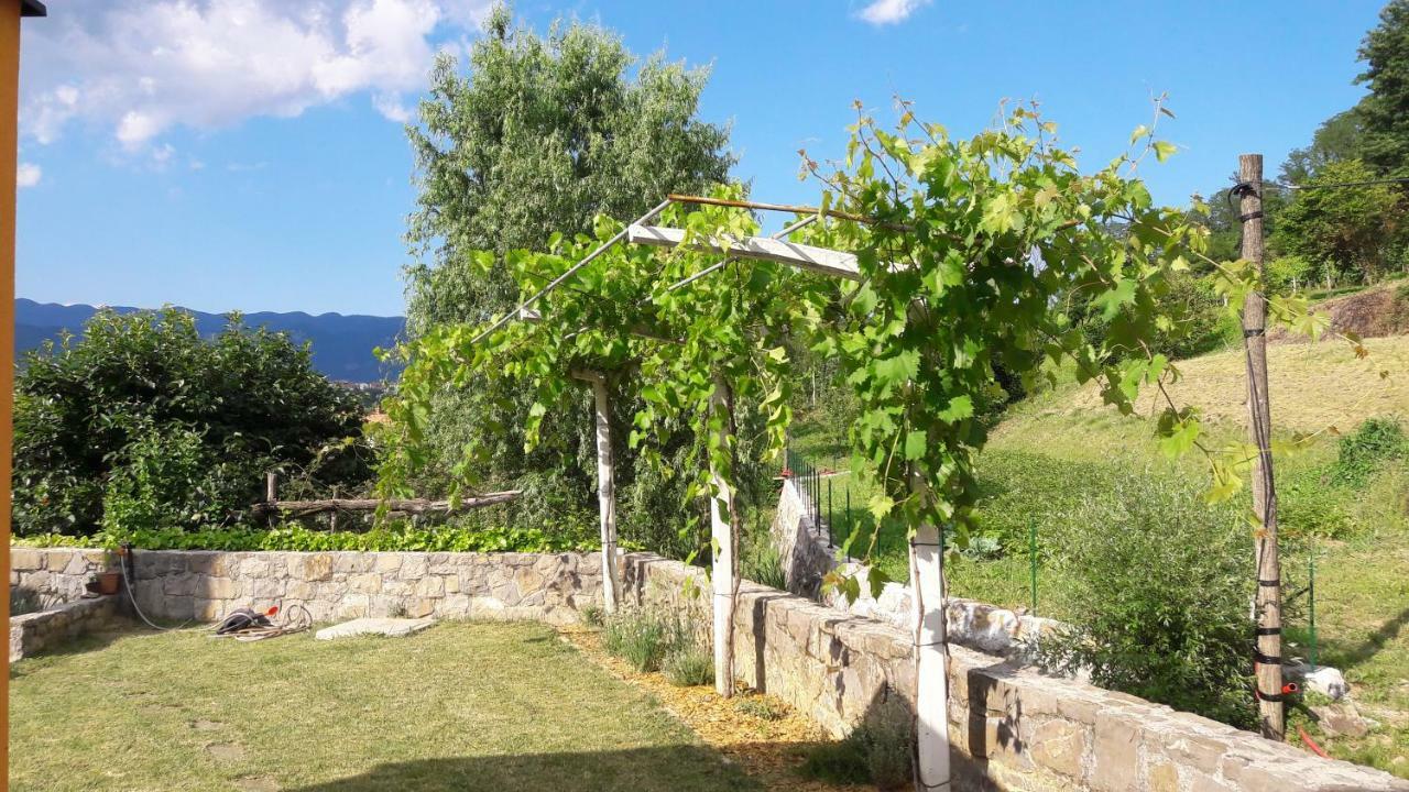Pocitniska Hisa Dobravlje Exterior foto