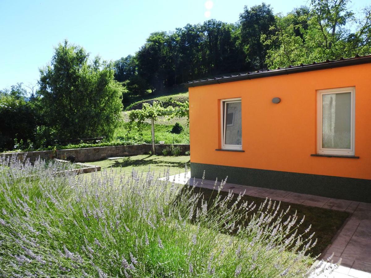 Pocitniska Hisa Dobravlje Exterior foto